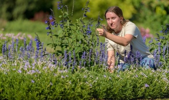 What a Horticulturalist and I Have in Common